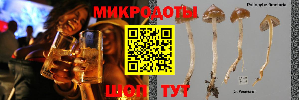 Бутурлиновка  Галлюциногенные грибы Psilocybe  Вход с VPN 